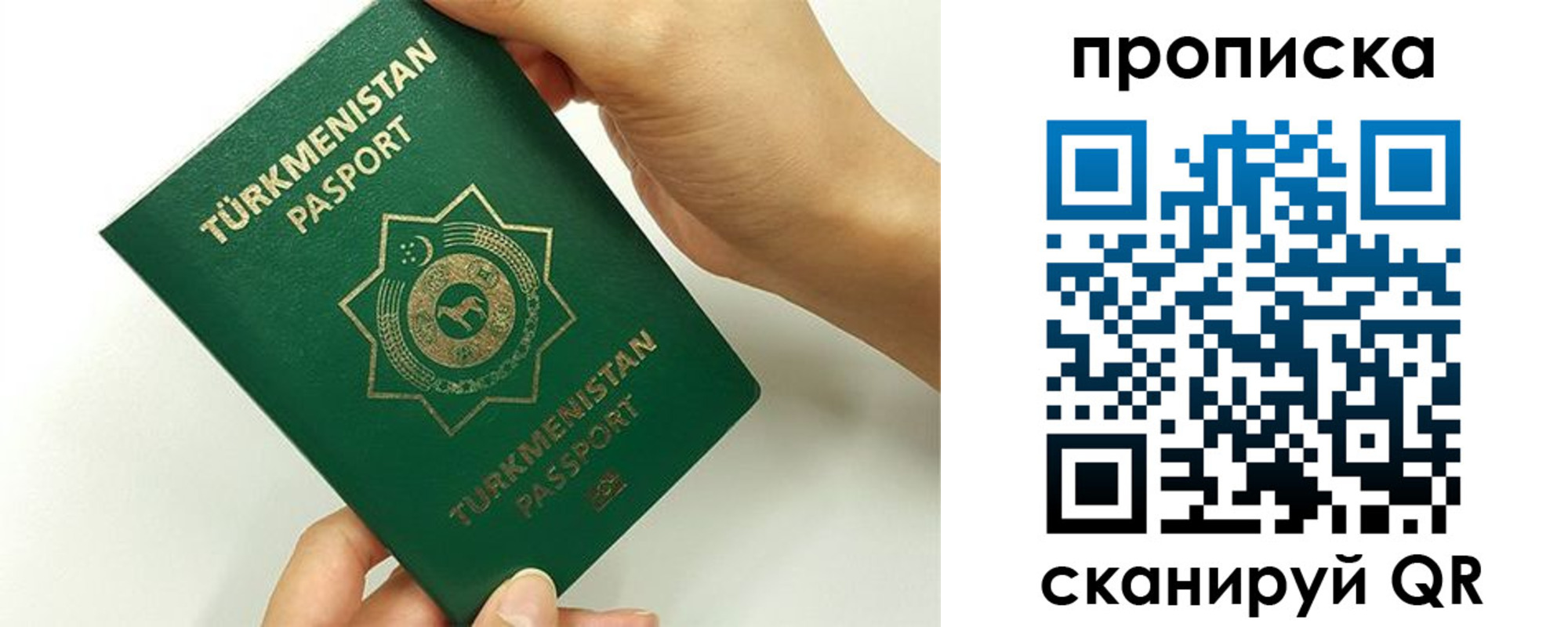 прописка для работы в Мурино